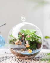 Tiểu Cảnh Terrarium Miệng Nghiêng - Little Girl - belovedbeyond.com