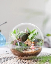 Tiểu Cảnh Terrarium Miệng Nghiêng - Little Girl - belovedbeyond.com