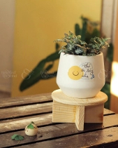 Cây Cảnh Để Bàn 01 - belovedbeyond.com