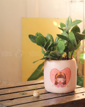 Cây Cảnh Để Bàn 06 - belovedbeyond.com