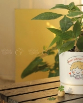 Cây Cảnh Để Bàn 08 - belovedbeyond.com