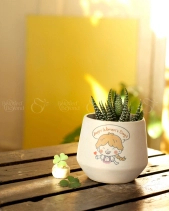 Cây Cảnh Để Bàn 10 - belovedbeyond.com