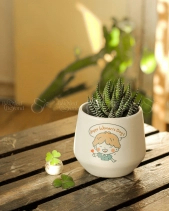 Cây Cảnh Để Bàn 11 - belovedbeyond.com