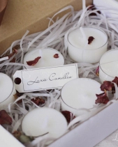 Set Tealight Nến Thơm 6 Viên - belovedbeyond.com