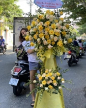 Đại Cát - belovedbeyond.com