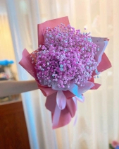 Baby Breath - belovedbeyond.com