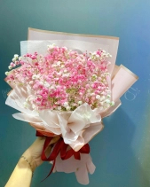 Bh-520 - belovedbeyond.com