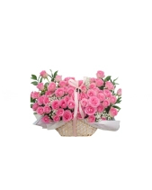 Only Rose 30 - belovedbeyond.com