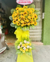 Hy Vọng - belovedbeyond.com