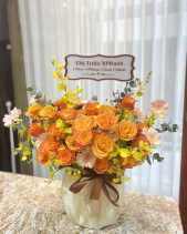 Rực Rỡ Nắng Mai - belovedbeyond.com