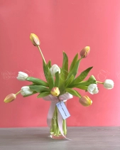 Tulip Lover - belovedbeyond.com