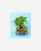 Peace - belovedbeyond.com