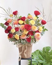 Toả Nắng - belovedbeyond.com