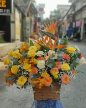 Khởi Sắc - belovedbeyond.com
