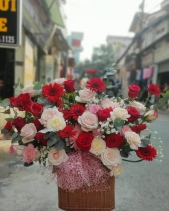 Thành Công - belovedbeyond.com