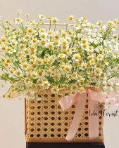 Xinh Xắn - belovedbeyond.com