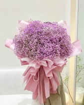Baby Hồng Tím - belovedbeyond.com