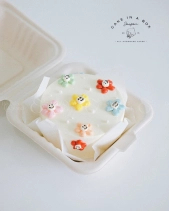 Cake In A Box - belovedbeyond.com