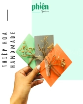 Cây Kim Thuỷ Tùng Để Bàn - belovedbeyond.com