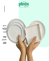 Cây Lan Chi Mini Để Bàn - belovedbeyond.com