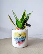 I Love You 3000 - belovedbeyond.com