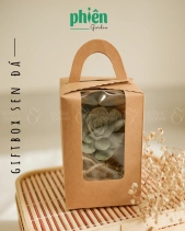 Hộp Quà Tặng Sen Đá, Set 1 Sen Đá - belovedbeyond.com