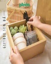 Hộp Quà Tặng Sen Đá Gardening Box - belovedbeyond.com