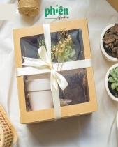 Hộp Quà Tặng Sen Đá Gardening Box - belovedbeyond.com