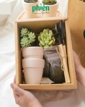 Hộp Quà Tặng Sen Đá Gardening Box - belovedbeyond.com