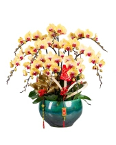 An Khang Thịnh Vượng - belovedbeyond.com