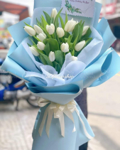 Bh-530 - belovedbeyond.com