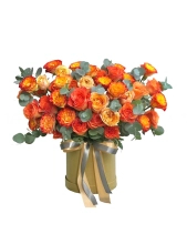 Đại Cát - belovedbeyond.com