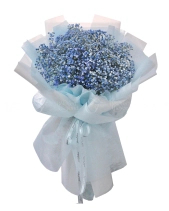 Bluesky Baby - belovedbeyond.com