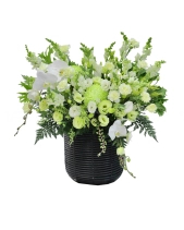 Thanh Lịch - belovedbeyond.com