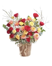 Toả Nắng - belovedbeyond.com