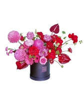 Hộp Cúc Mẫu Đơn Mix Tone Đỏ - belovedbeyond.com