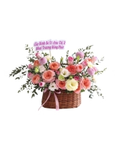 Nồng Thắm - belovedbeyond.com