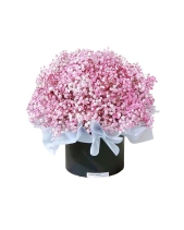 Tươi Xanh - belovedbeyond.com