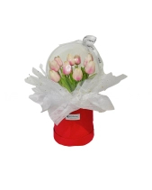 Hộp Hoa Tulip Hồng - belovedbeyond.com