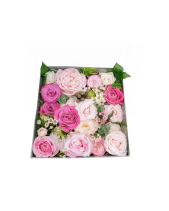 Hoa Ven Đường - Hoa Hộp 4 - belovedbeyond.com