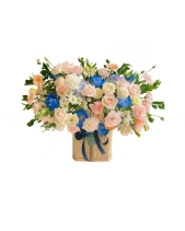 Hoa Ven Đường - Hoa Lẵng 7 - belovedbeyond.com