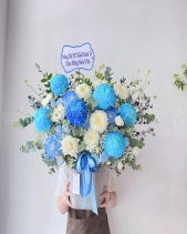 Hộp Hoa Tone Xanh Hy Vọng - belovedbeyond.com