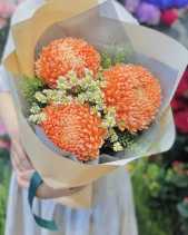 Cúc Mẫu Đơn - belovedbeyond.com