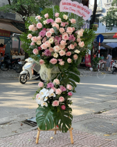 Kệ Hoa Chúc Mừng Tone Hồng - belovedbeyond.com