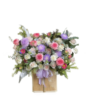 Chúc Mừng - belovedbeyond.com