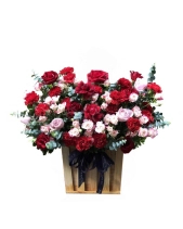 Rực Rỡ - belovedbeyond.com