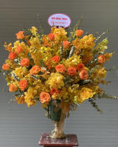 Thành Công - belovedbeyond.com