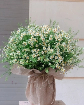 Tanna - belovedbeyond.com