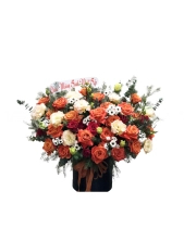 Sức Sống - belovedbeyond.com