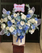 Xanh Ngọt Ngào - belovedbeyond.com